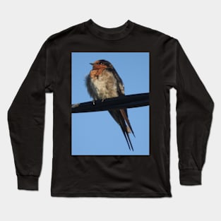 Welcome Swallow Long Sleeve T-Shirt